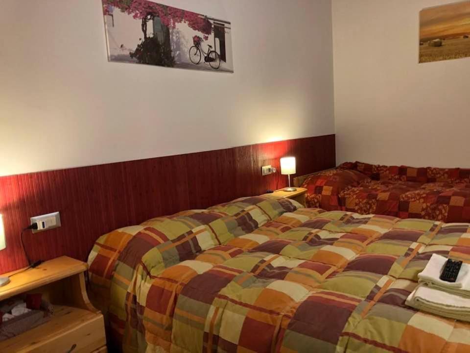 Agriturismo Il Podere Vedelago Con San Bernardo, Alpaca E Una Pentola Di Cose Da Scoprire Exterior photo