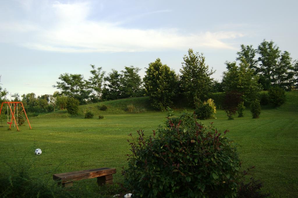 Agriturismo Il Podere Vedelago Con San Bernardo, Alpaca E Una Pentola Di Cose Da Scoprire Exterior photo